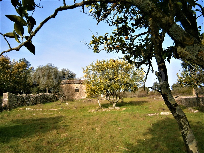 Quinta / Castelo Branco, Alcains