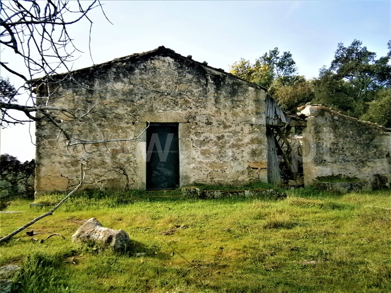 Quinta  Castelo Branco, Alcains - 1082406 - 2