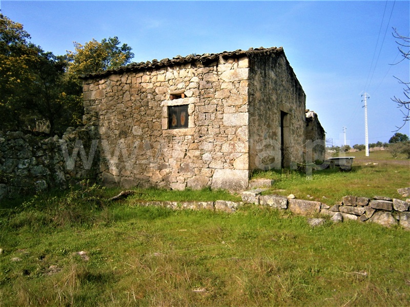 Quinta  Castelo Branco, Alcains - 1082406 - 3