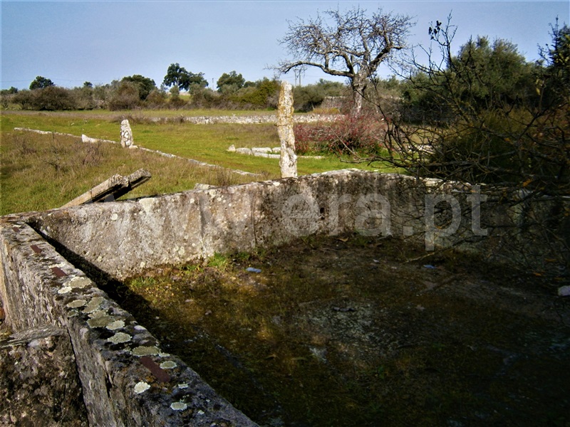 Quinta  Castelo Branco, Alcains - 1082406 - 5