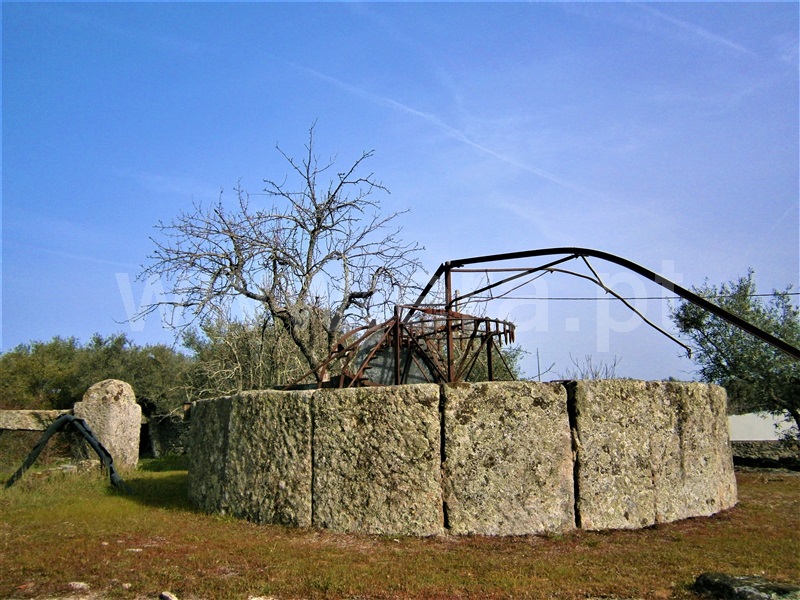 Quinta  Castelo Branco, Alcains - 1082406 - 8
