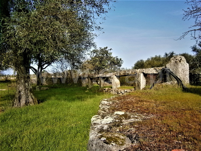 Quinta  Castelo Branco, Alcains - 1082406 - 9