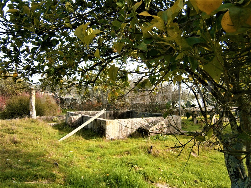 Quinta  Castelo Branco, Alcains - 1082406 - 11