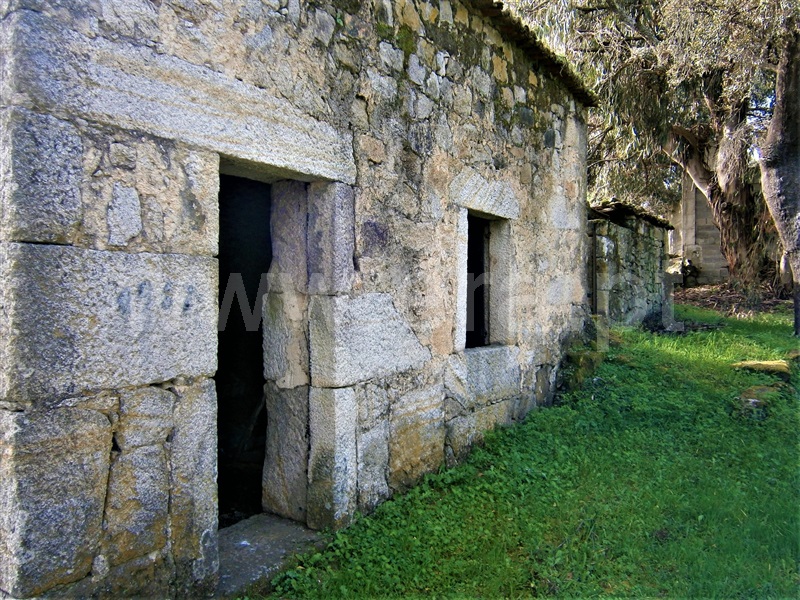 Quinta  Castelo Branco, Alcains - 1082406 - 16