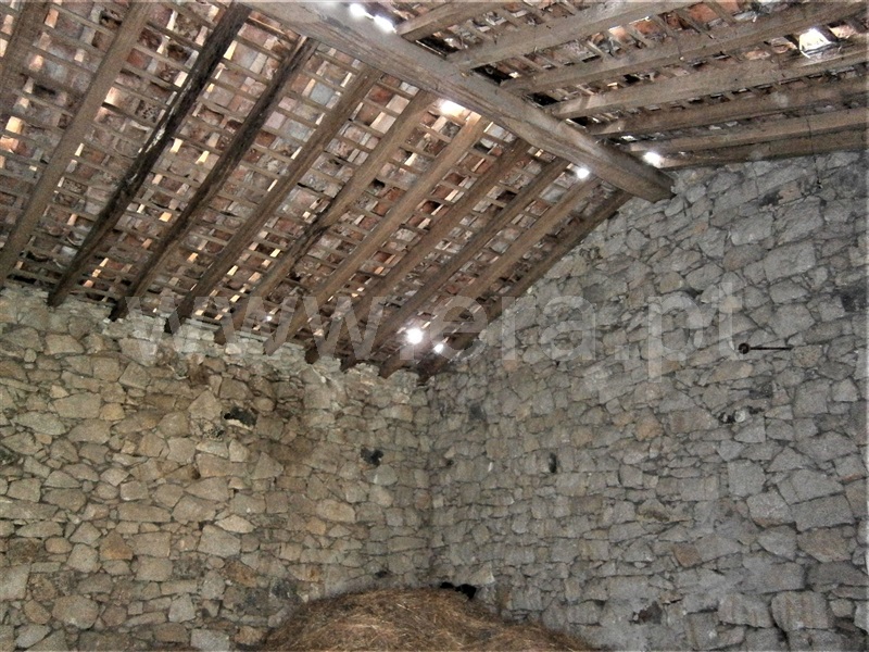 Quinta  Castelo Branco, Alcains - 1082406 - 17