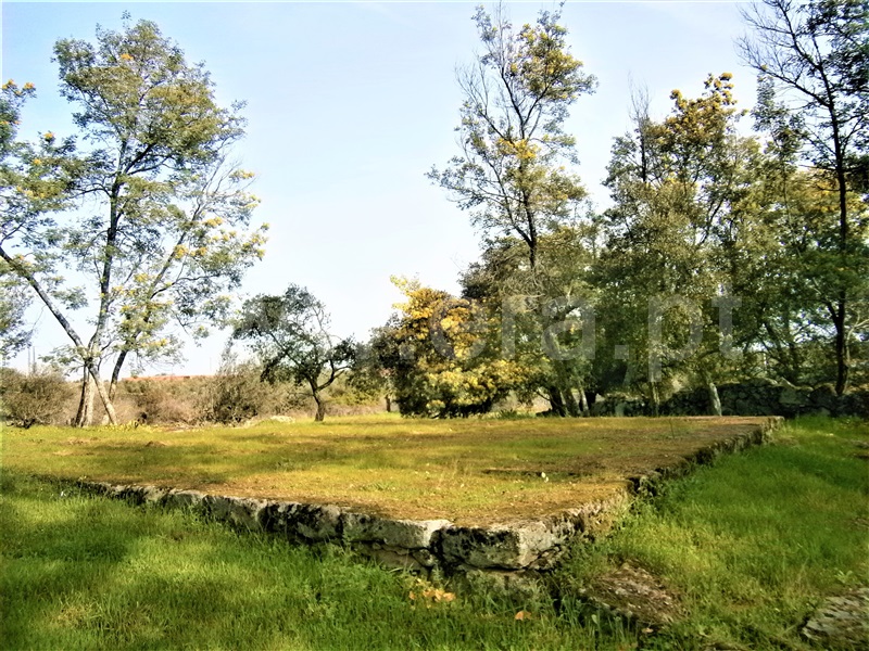 Quinta  Castelo Branco, Alcains - 1082406 - 18