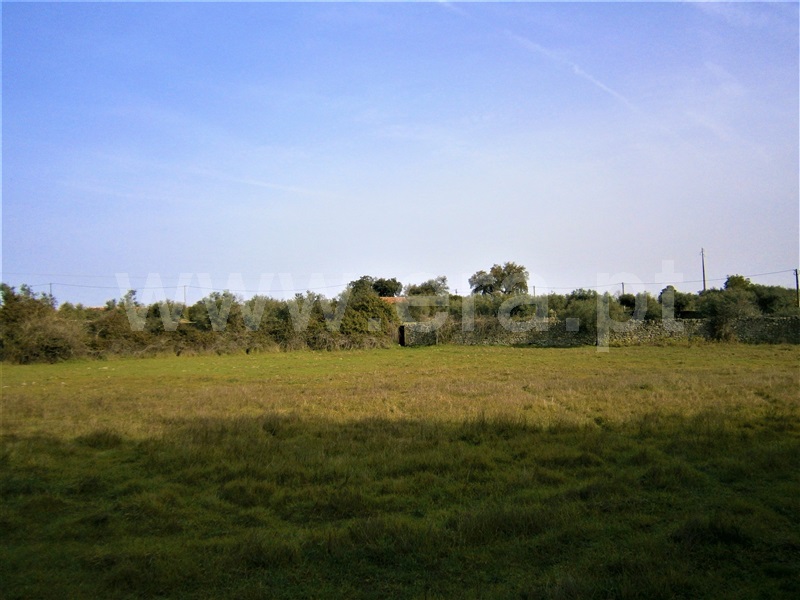 Quinta  Castelo Branco, Alcains - 1082406 - 22