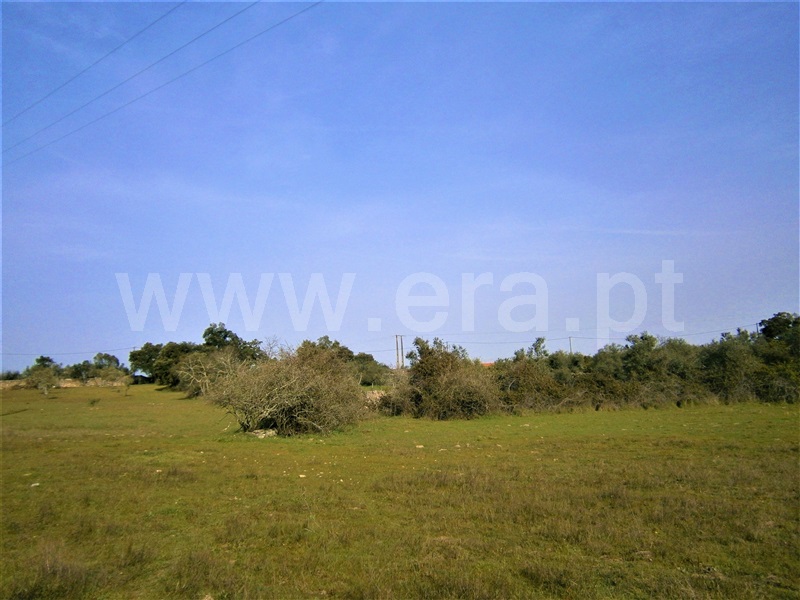 Quinta  Castelo Branco, Alcains - 1082406 - 24