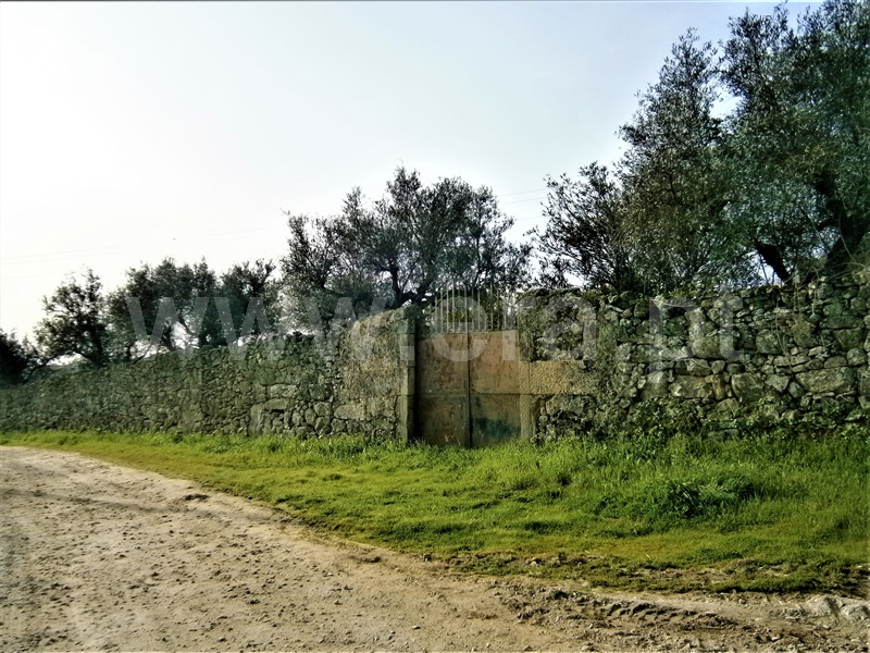 Quinta  Castelo Branco, Alcains - 1082406 - 28