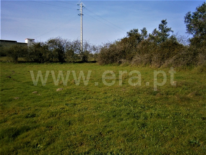 Quinta  Castelo Branco, Alcains - 1082406 - 25