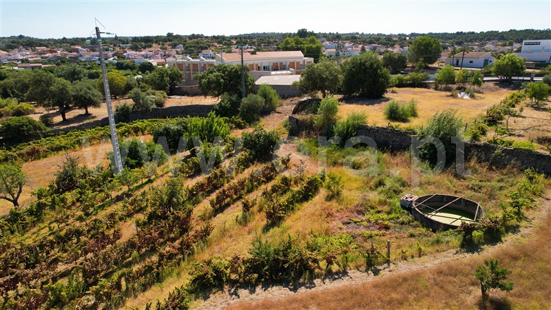 Quinta  Castelo Branco, Escalos de Baixo - 1316591 - 7