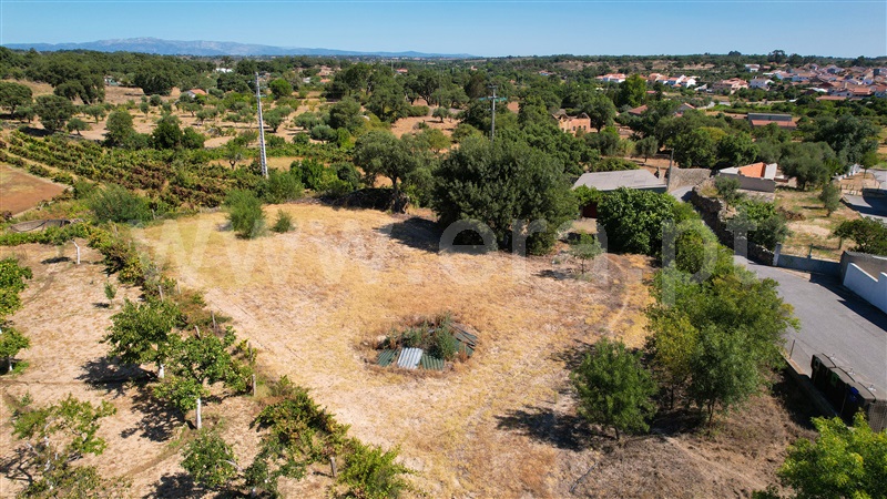 Quinta  Castelo Branco, Escalos de Baixo - 1316591 - 10