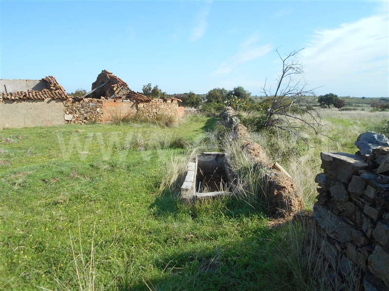 Quinta  com Agrícola Castelo Branco, Monforte da Beira - 1207168 - 5
