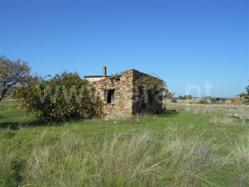 Quinta  com Agrícola Castelo Branco, Monforte da Beira - 1207168 - 8