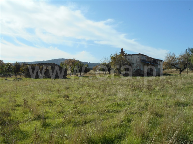 Quinta / Castelo Branco, Monforte da Beira