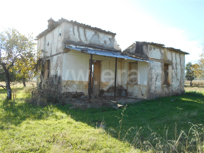 Quinta  com Agrícola Castelo Branco, Monforte da Beira - 1207168 - 15