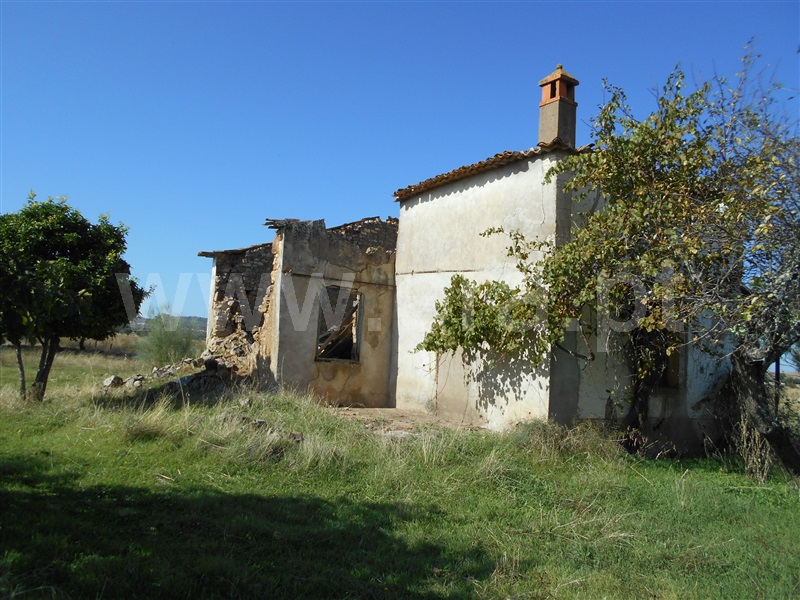 Quinta  com Agrícola Castelo Branco, Monforte da Beira - 1207168 - 16