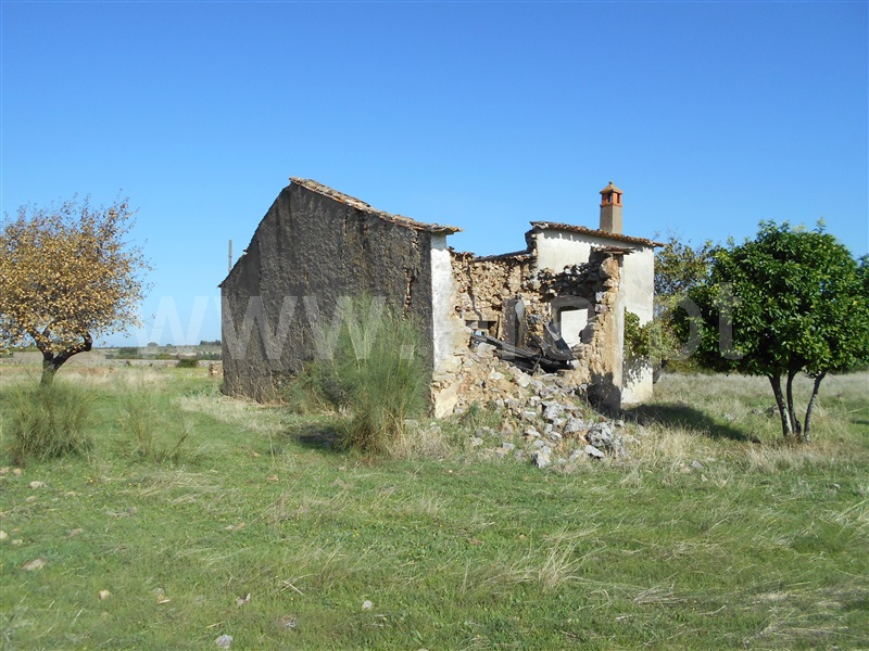 Quinta  com Agrícola Castelo Branco, Monforte da Beira - 1207168 - 17