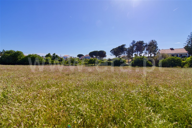 Quinta / Castelo Branco, Retaxo
