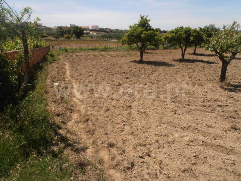 Terreno Rústico  Castelo Branco, Retaxo - 647502 - 12