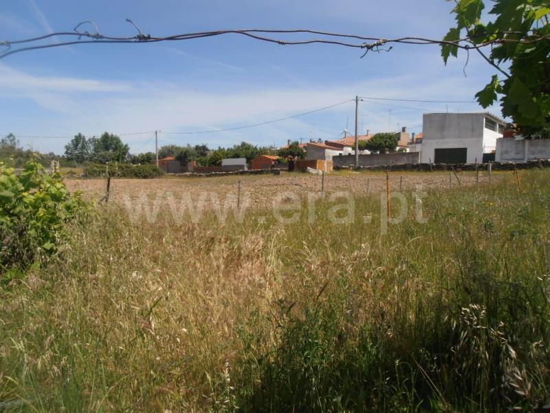 Terreno Rústico  Castelo Branco, Retaxo - 647502 - 15