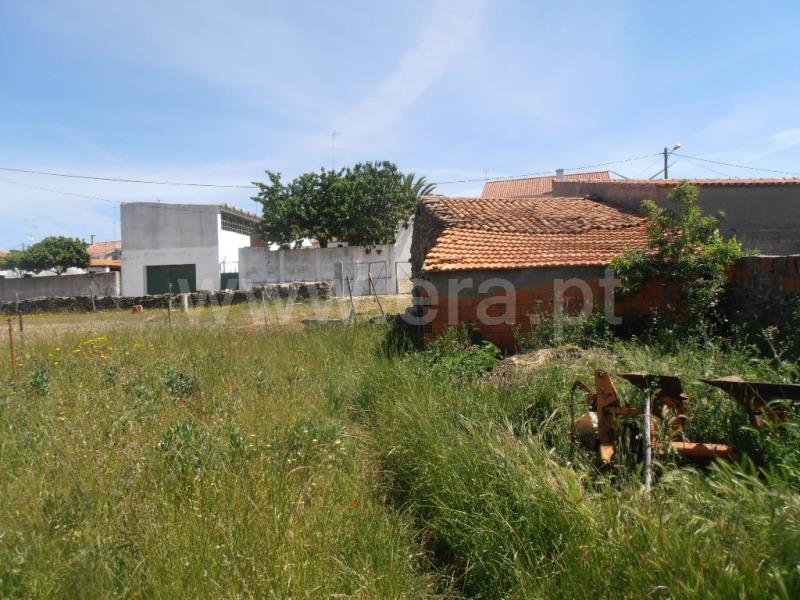 Terreno Rústico  Castelo Branco, Retaxo - 647502 - 16