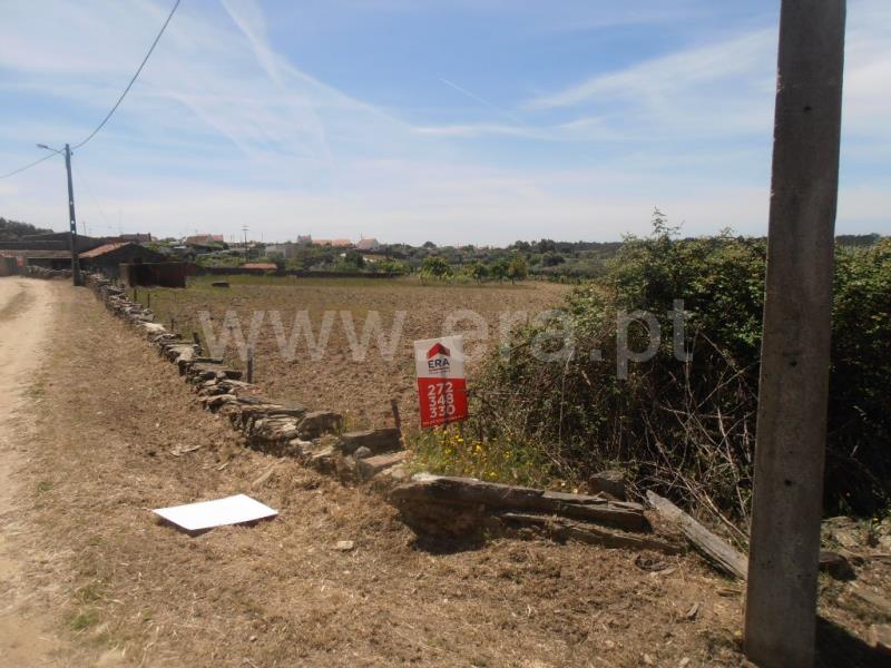 Terreno Rústico  Castelo Branco, Retaxo - 647502 - 20