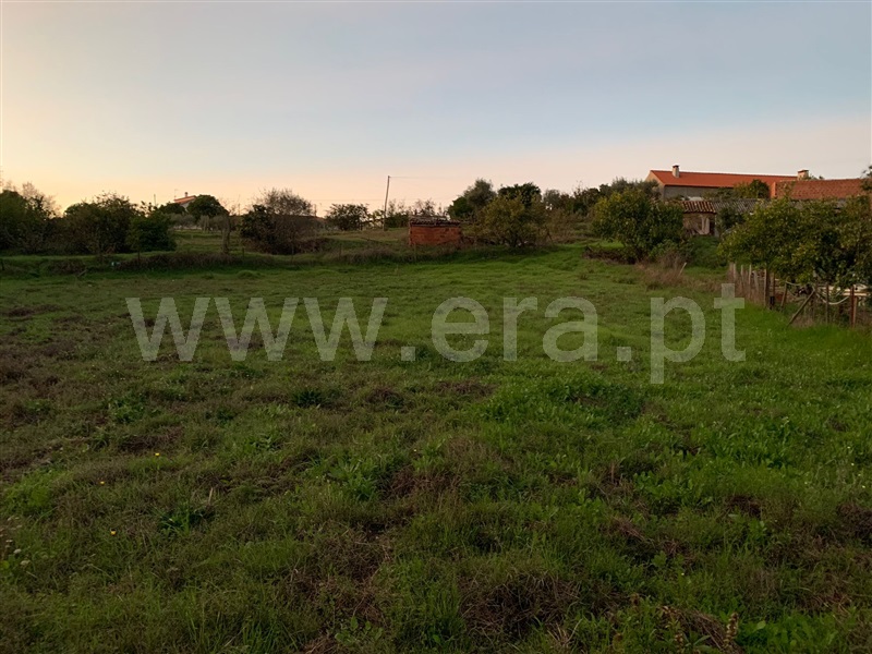 Quinta / Castelo Branco, Santo André das Tojeiras