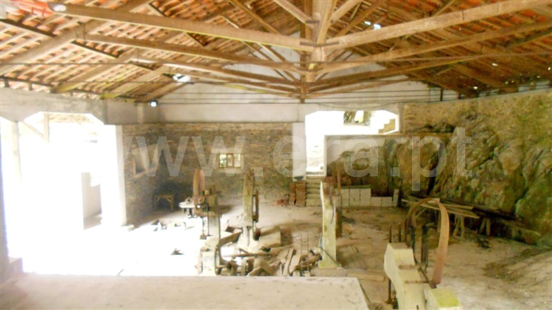 Quinta  Castelo de Paiva, Raiva, Pedorido e Paraíso - 1474645 - 13