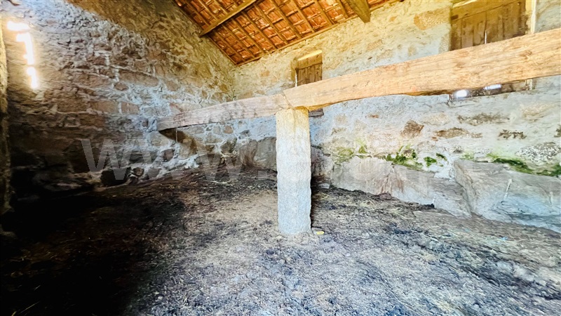 Terreno com ruina  Celorico da Beira, Carrapichana - 1419402 - 3