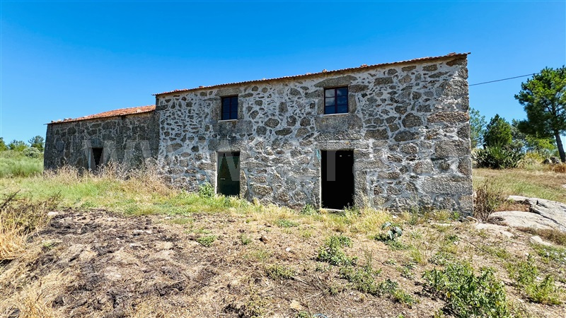 Terreno com ruina  Celorico da Beira, Carrapichana - 1419402 - 5