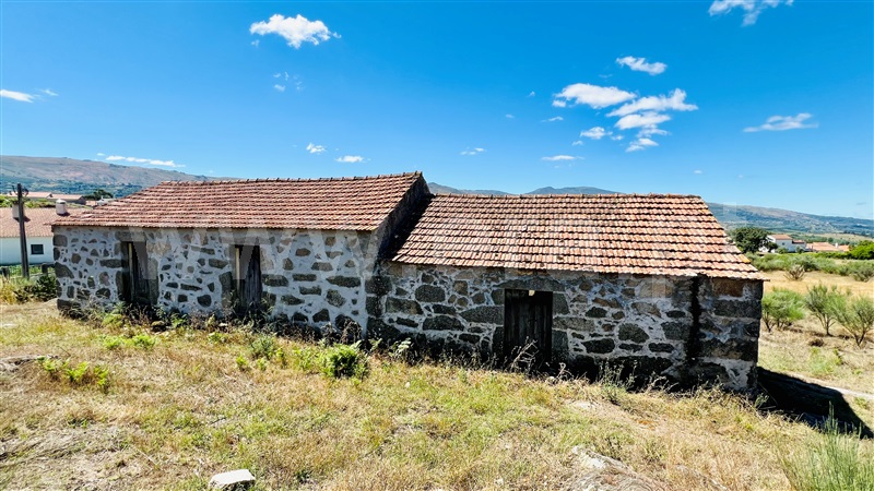 Terreno com ruina  Celorico da Beira, Carrapichana - 1419402 - 6