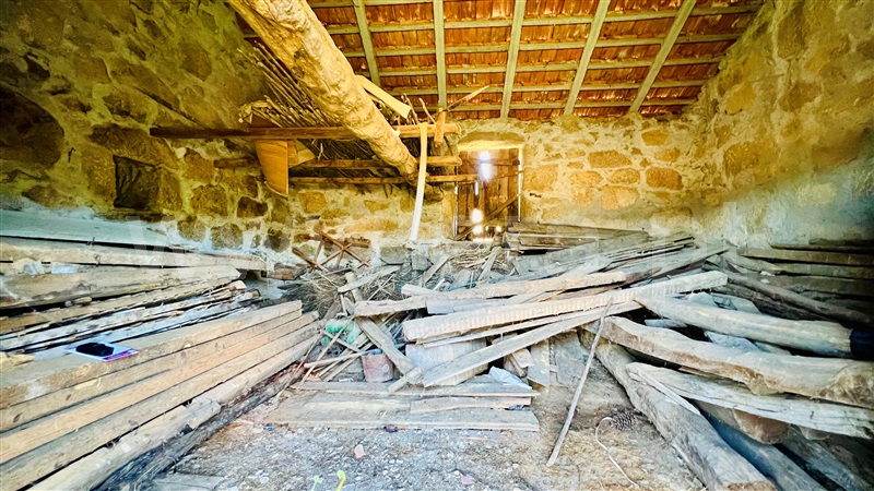 Terreno com ruina  Celorico da Beira, Carrapichana - 1419402 - 9