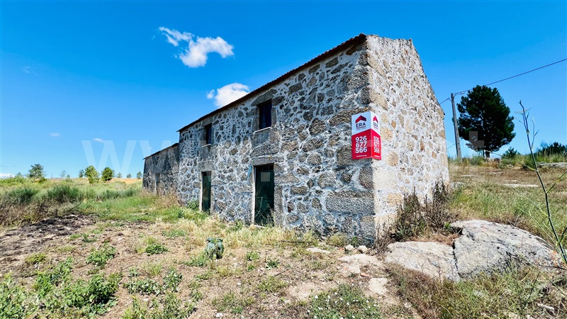 Terreno com ruina  Celorico da Beira, Carrapichana - 1419402 - 10
