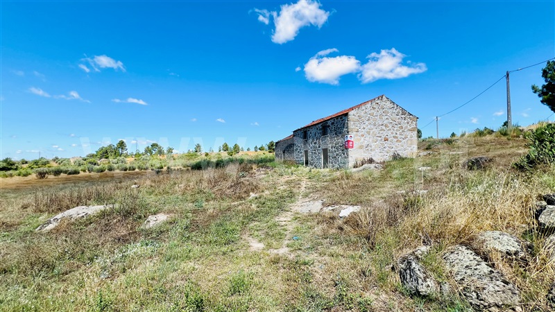 Terreno com ruina  Celorico da Beira, Carrapichana - 1419402 - 11