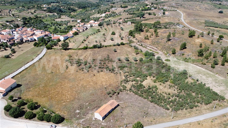 Terreno com ruina  Celorico da Beira, Carrapichana - 1419402 - 15