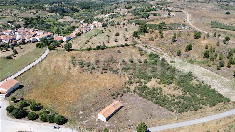 Terreno com ruina  Celorico da Beira, Carrapichana - 1419402 - 16
