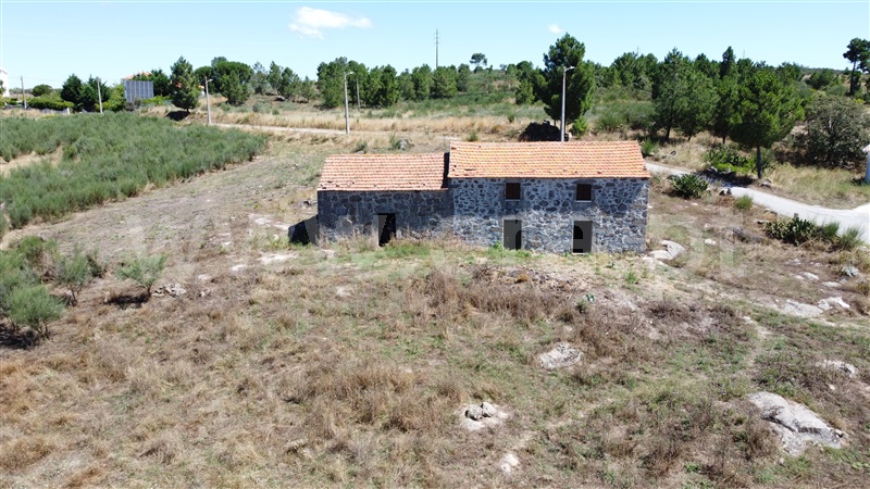 Terreno com ruina  Celorico da Beira, Carrapichana - 1419402 - 19