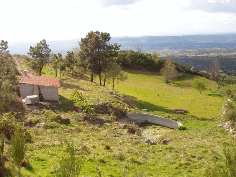 Quinta / Celorico da Beira, Celorico da Beira