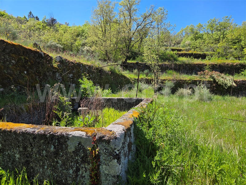 Quinta  Celorico da Beira, Lajeosa do Mondego - 1475697 - 7