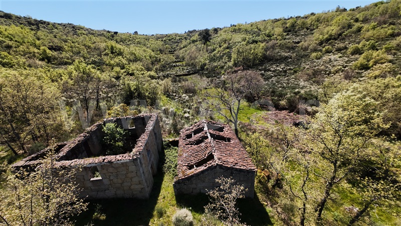 Quinta  Celorico da Beira, Lajeosa do Mondego - 1475697 - 9