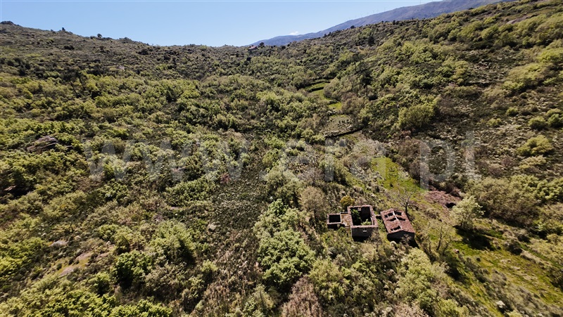 Quinta  Celorico da Beira, Lajeosa do Mondego - 1475697 - 10