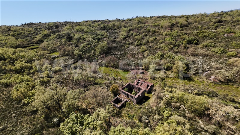 Quinta  Celorico da Beira, Lajeosa do Mondego - 1475697 - 12