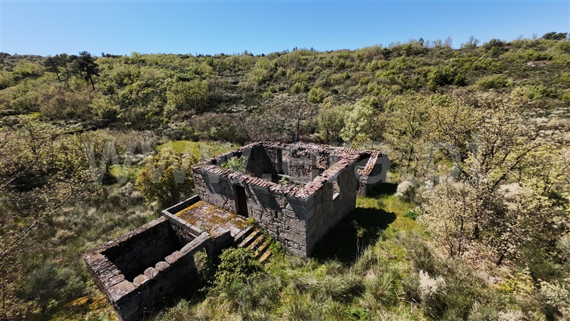 Quinta / Celorico da Beira, Lajeosa do Mondego