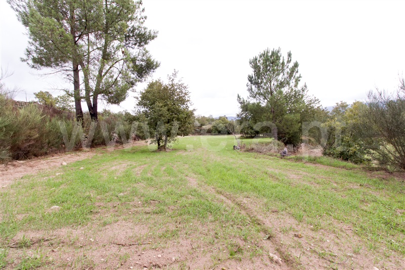 Quinta T-2 Celorico da Beira, Mesquitela - 1273870 - 5