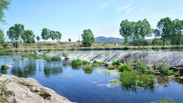 Quinta  Celorico da Beira, Ratoeira - 1481164 - 5