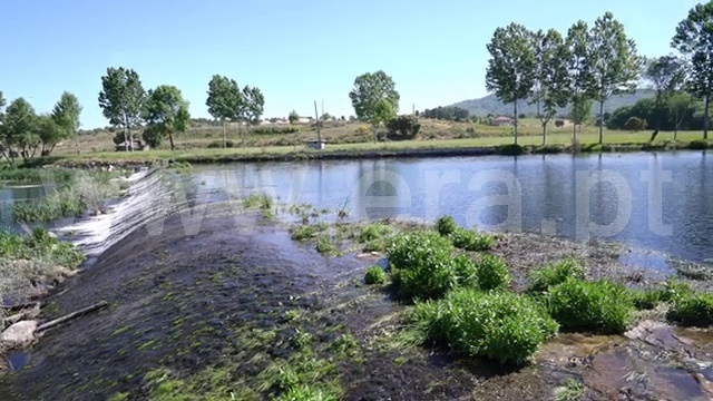 Quinta  Celorico da Beira, Ratoeira - 1481164 - 6