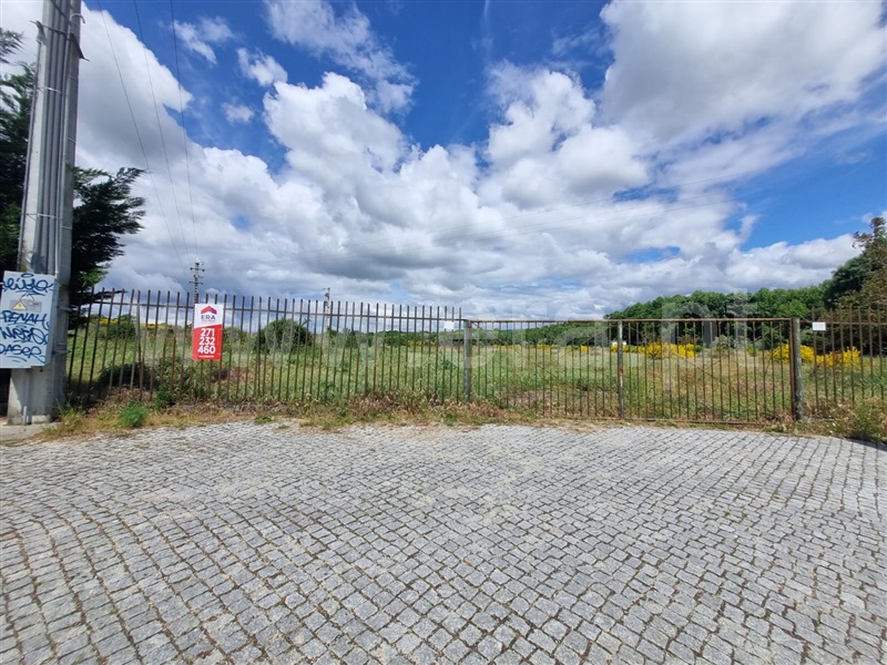 Quinta  Celorico da Beira, Ratoeira - 1481164 - 9