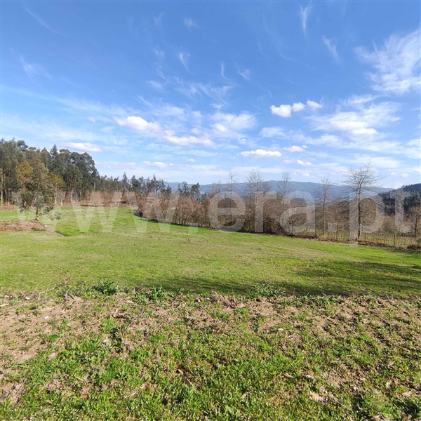 Quinta  Celorico de Basto, Arnóia - 1367530 - 1