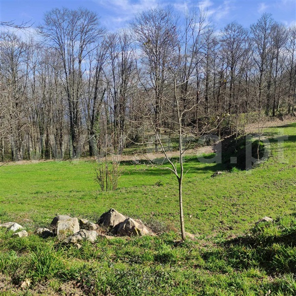 Quinta  Celorico de Basto, Arnóia - 1367530 - 3